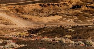 当烧脑的“太空狼人杀”完结后，星铁玩家终于看爽了