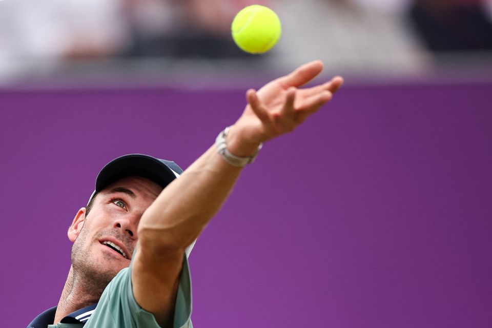 中的稳定性 中的稳定性