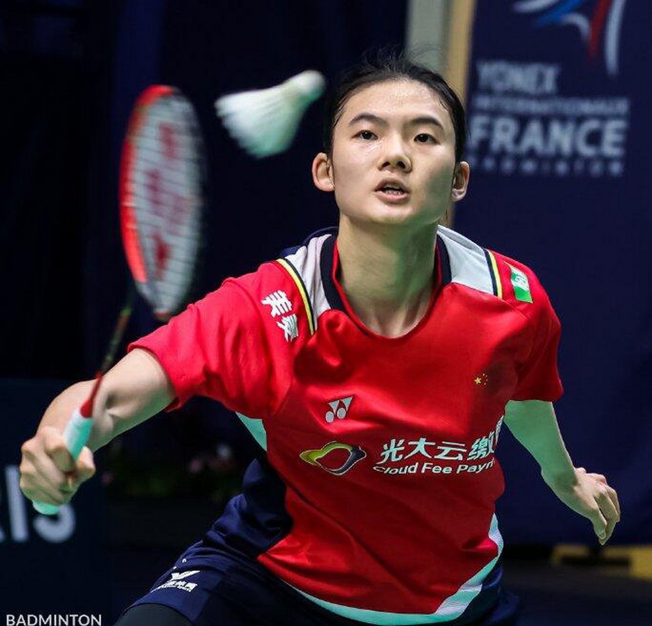 这一言论不 这一言论不